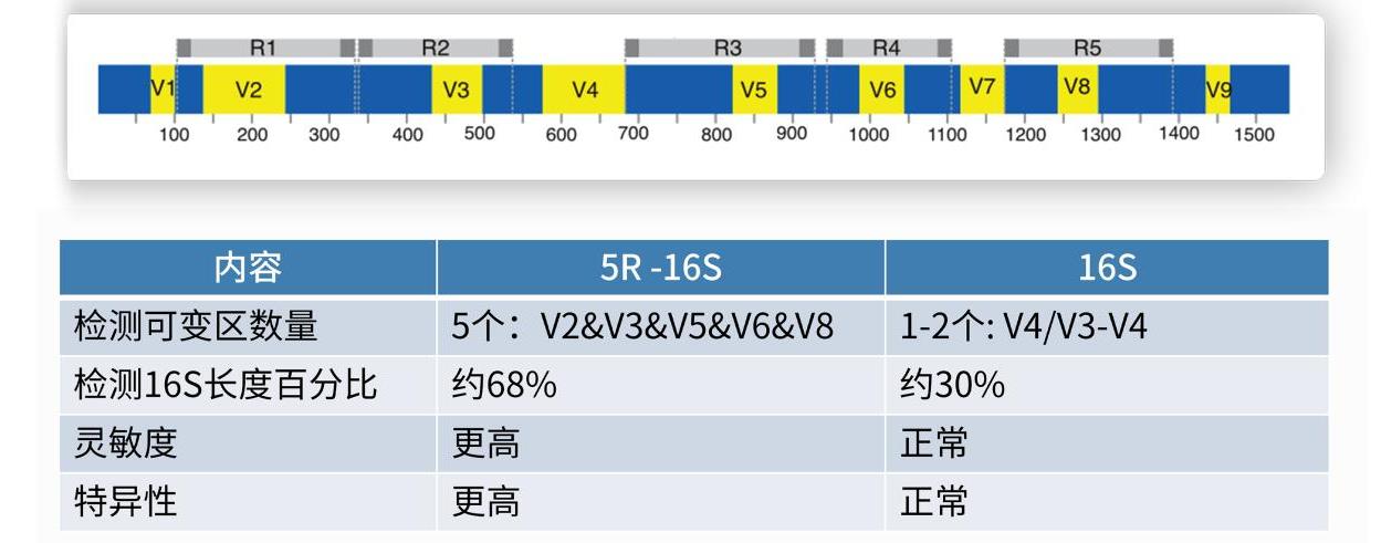 富玛特菌群检测技术5R 16S测序技术