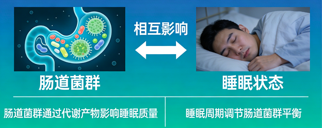 肠道菌群通过代谢产物影响睡眠质量